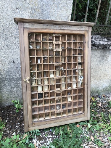 Vitrine didactique d'ancienne école.