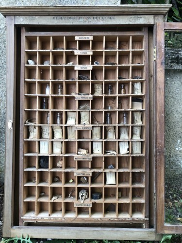 Vitrine didactique d'ancienne école.