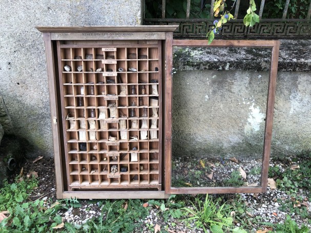 Vitrine didactique d'ancienne école.