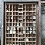 Vitrine didactique d'ancienne école.